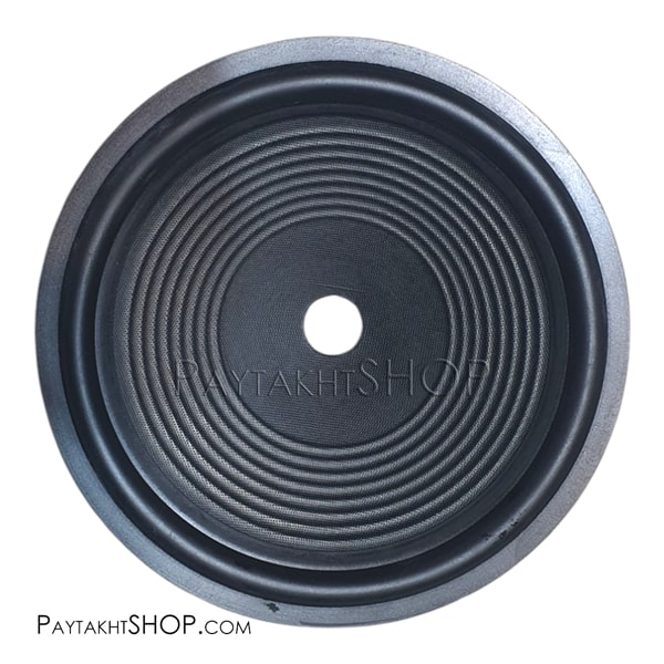 صفحه "10 کاغذی گلویی27