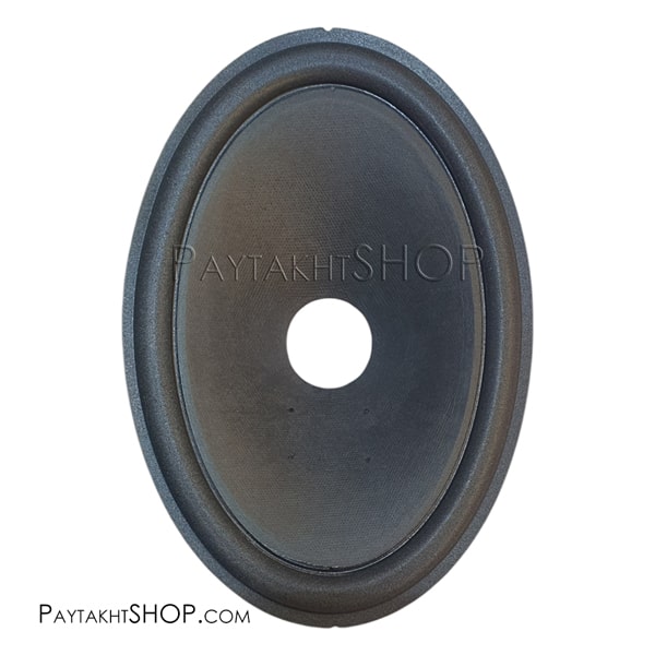 صفحه پایونر 6975 V2